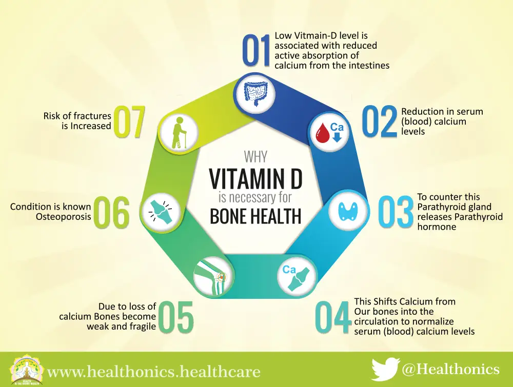 03-WHY-VITAMIN-D-and-BONE-HEALTH