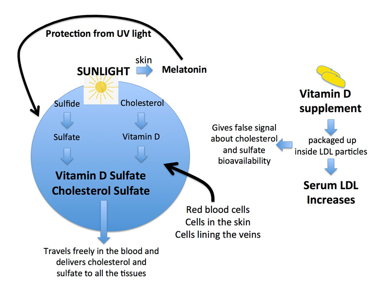 Differences-between-vitaminD-through-supplements-or-sunlight