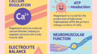 Magnesium-Infographic-6