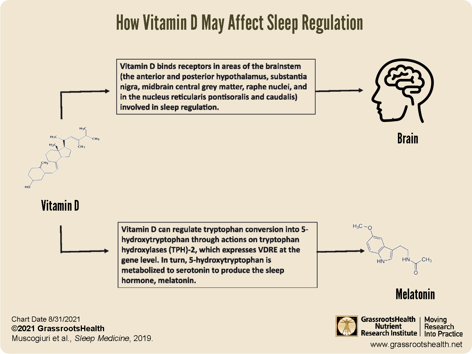 Vit-D-Melatonin-Sleep-Diagram