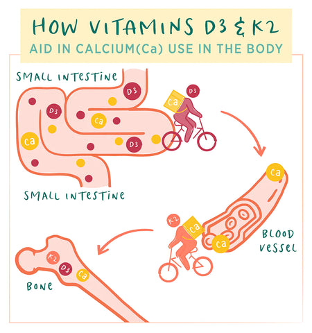 Vitamin-D_Infographic_Calcium-and-K2_1080x1053_ds_1_480x480