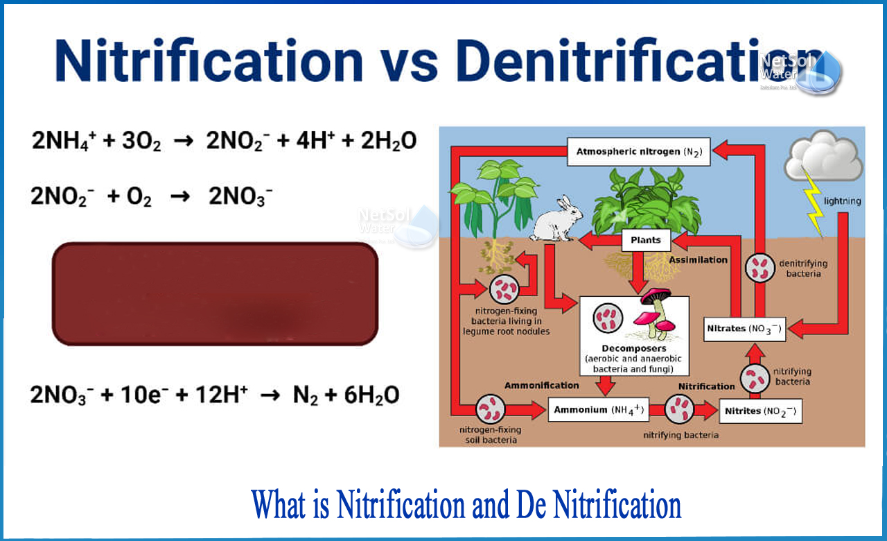 What_is_Nitrification_and_De_nitrification