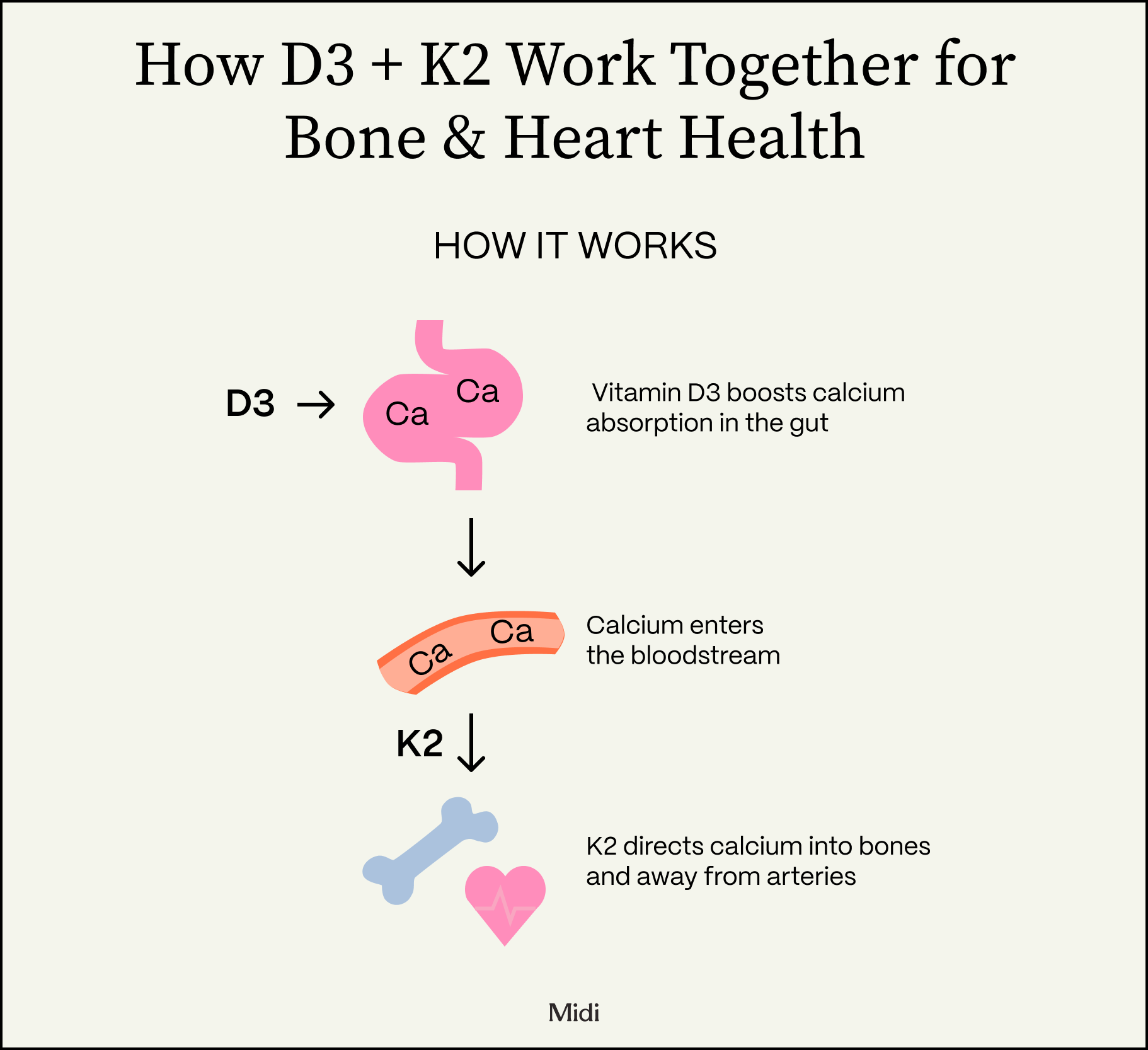 aCeRYydWJ-7kSPO6_BoneandHeartHealth