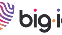 bigid_Gray-H