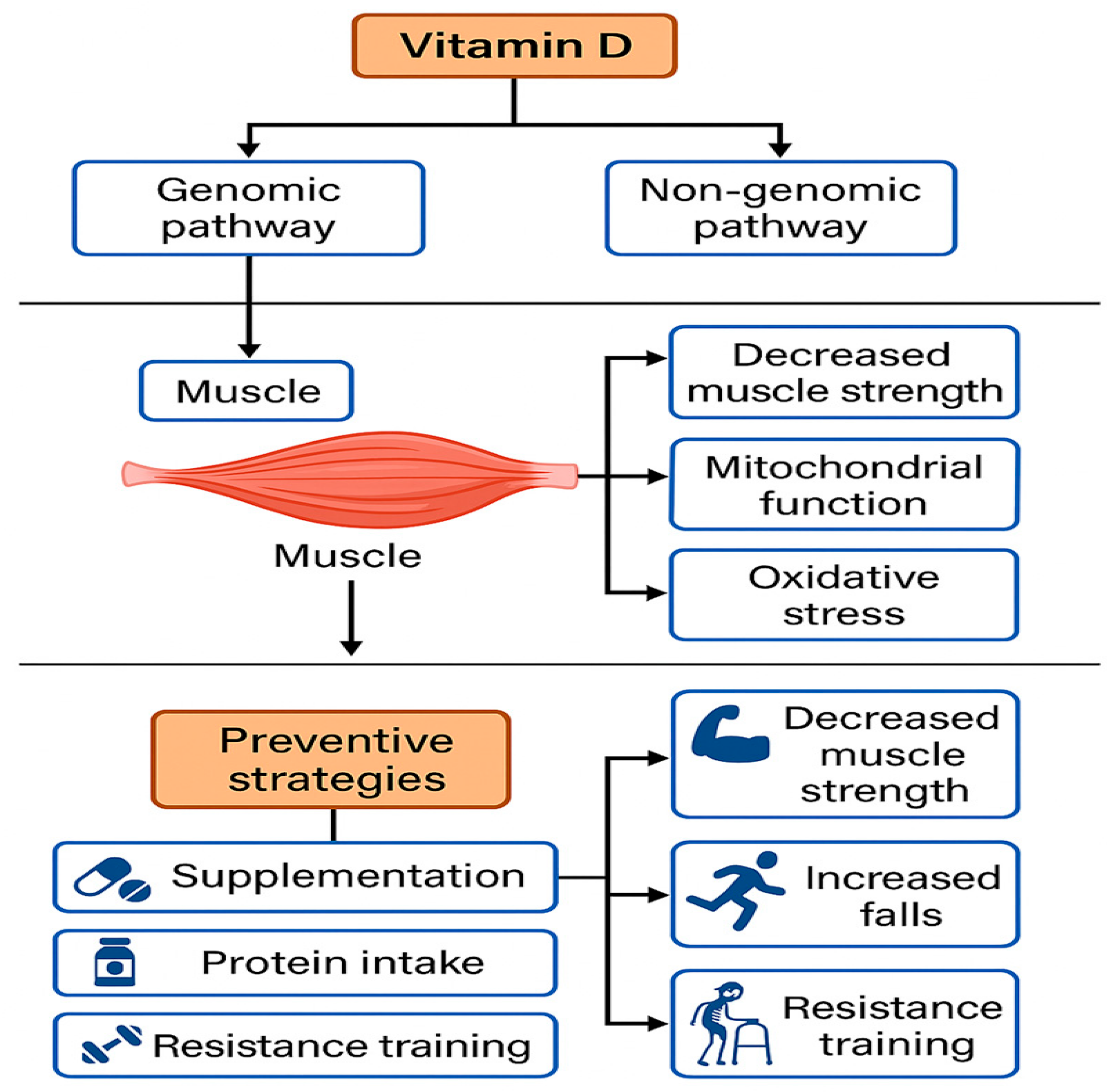 biomedicines-13-01863-g002