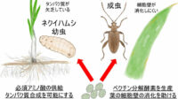 fig5