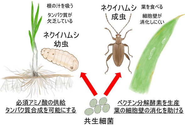 fig5