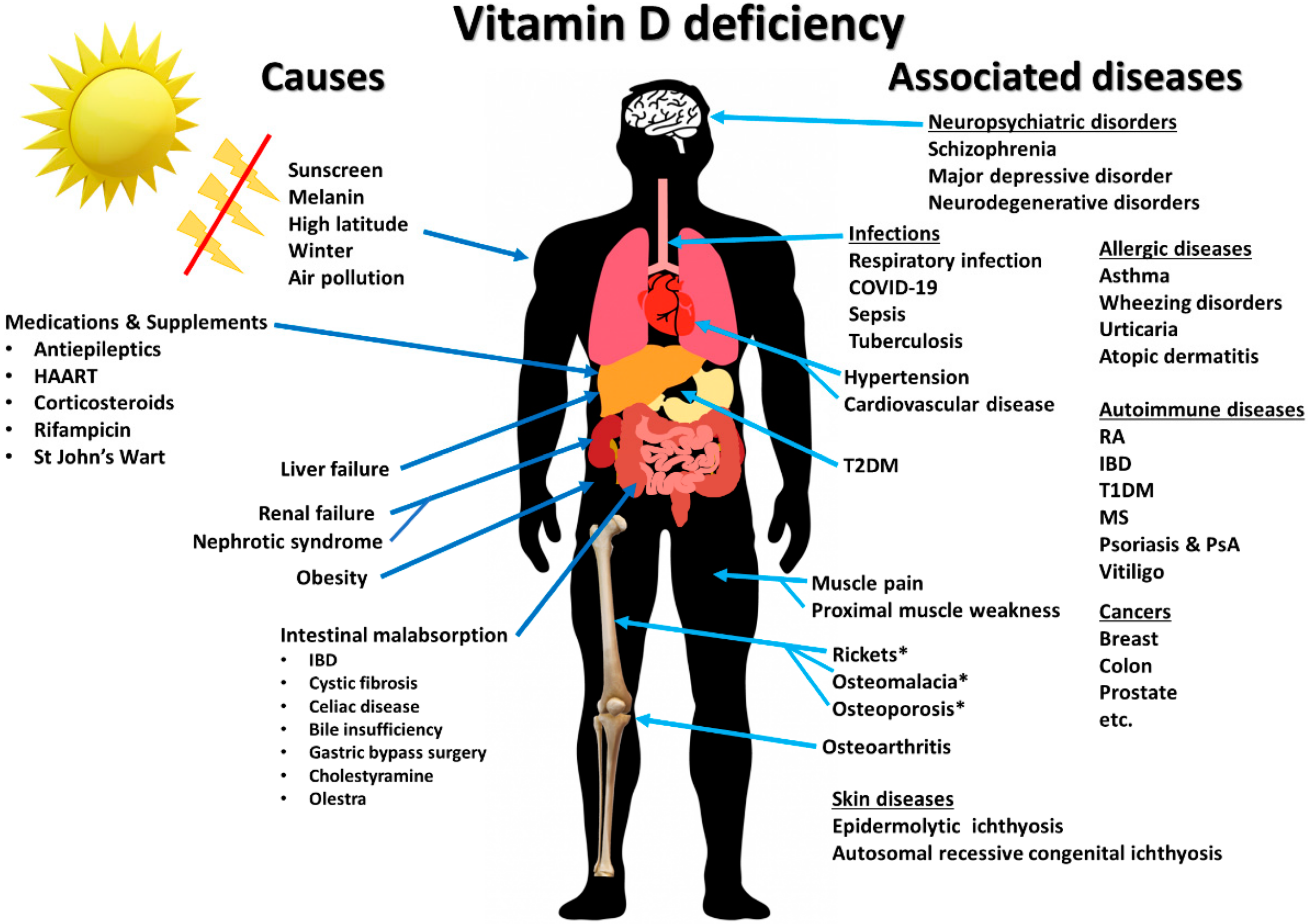 nutrients-12-02097-g001
