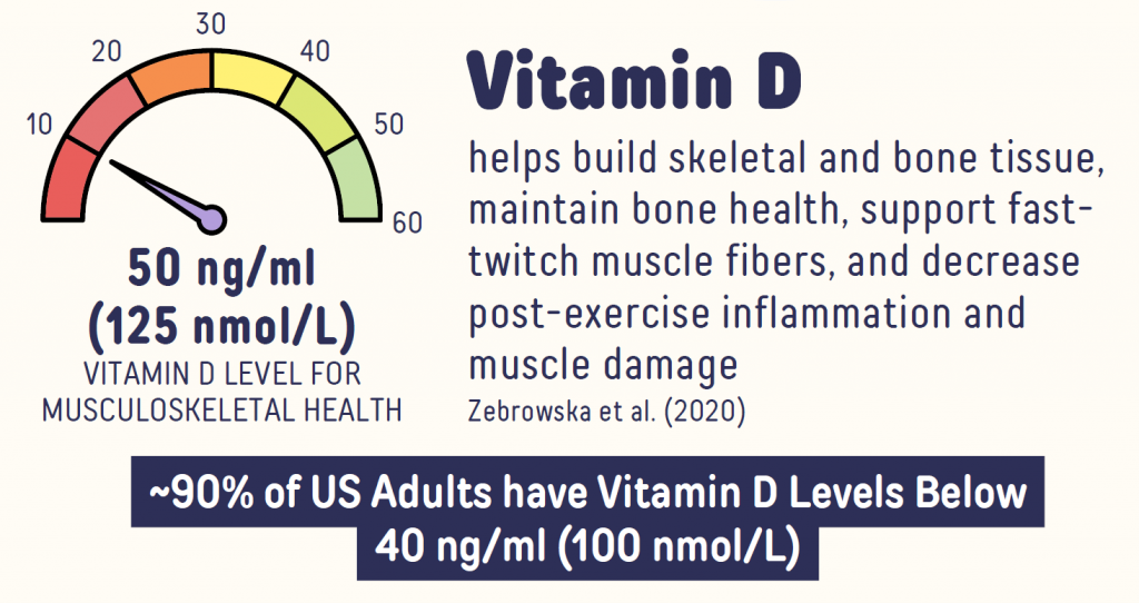 vit-d-fitness-1024x542