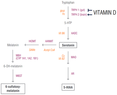 vitamin-d-and-melatonin