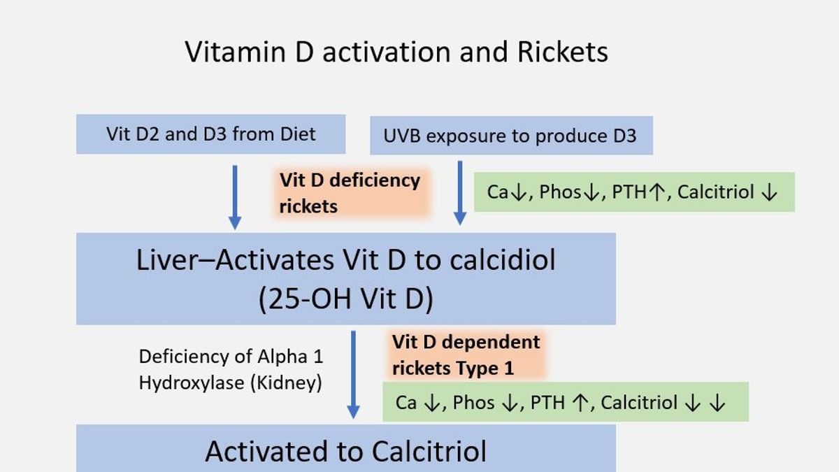 vitamin-d-benefits-and-differences-between-d2-and-d3-20240215221520